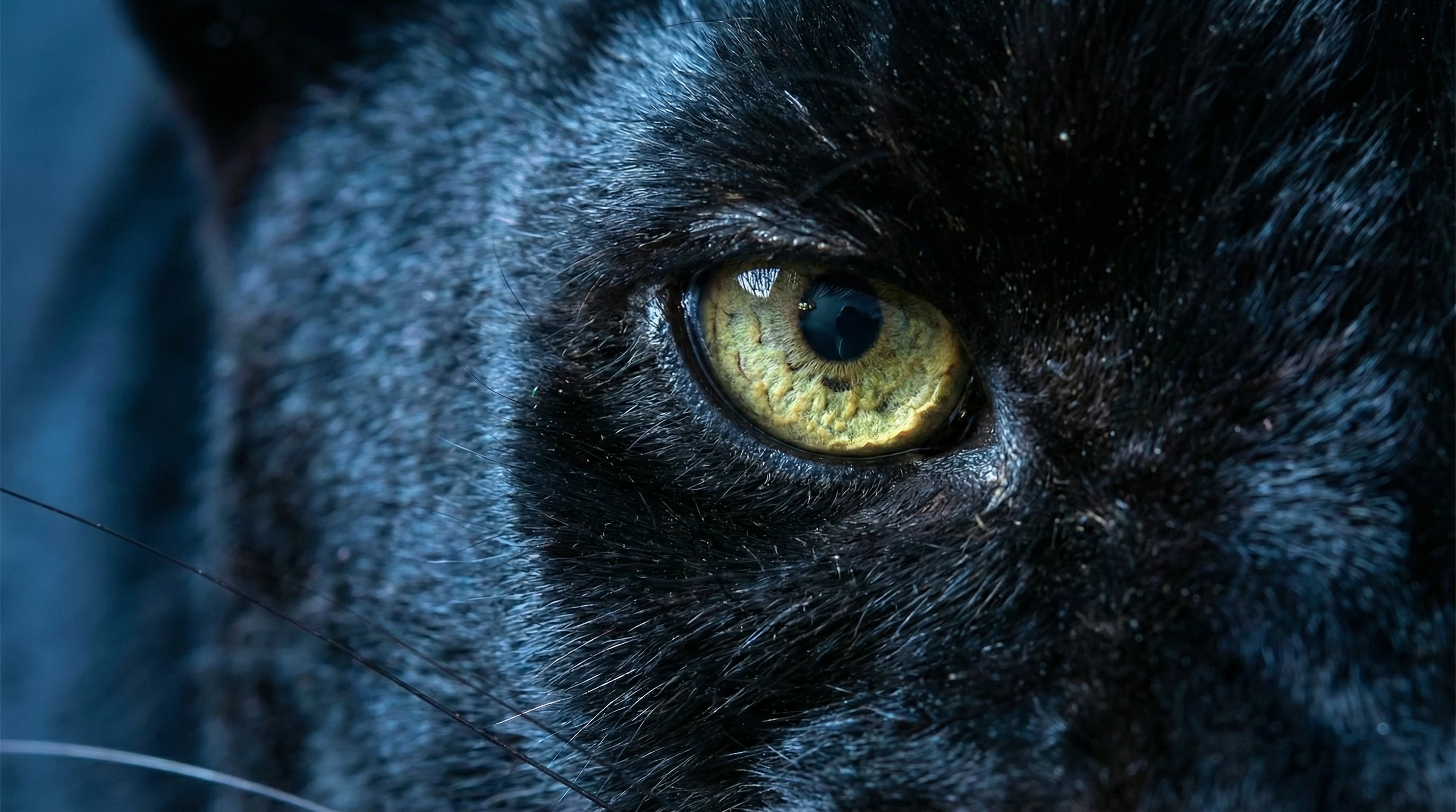 Entscheidungsoptimierte Visualisierung